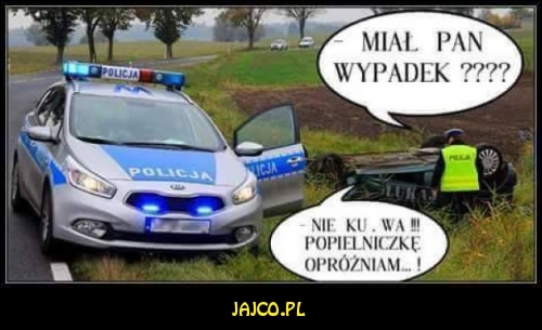 Polska policja


