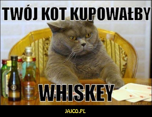 Twój kot kupowałby whiskey


