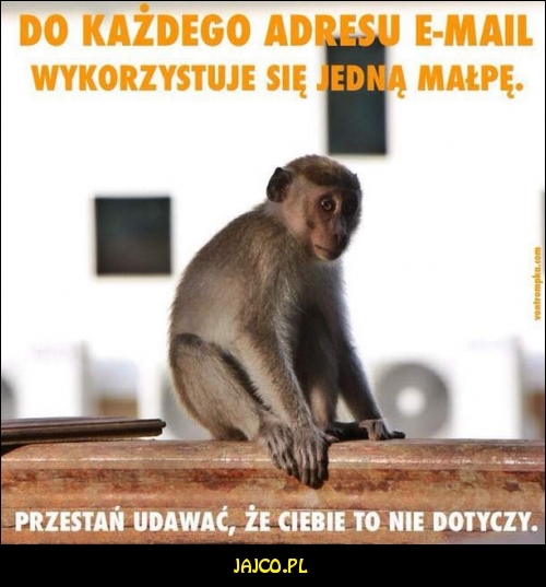 Do każdego adresu email wykorzystuje się jedną małpę


