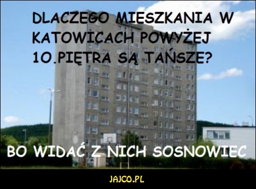 Mieszkania w Katowicach powyżej 10 piętra


