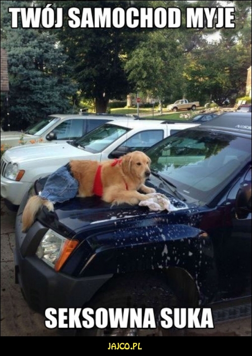 Twój samochód myje seksowna suka


