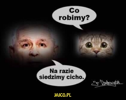 Śmieszne zdjęcia, obrazki, teksty, memy - JAJCO.pl